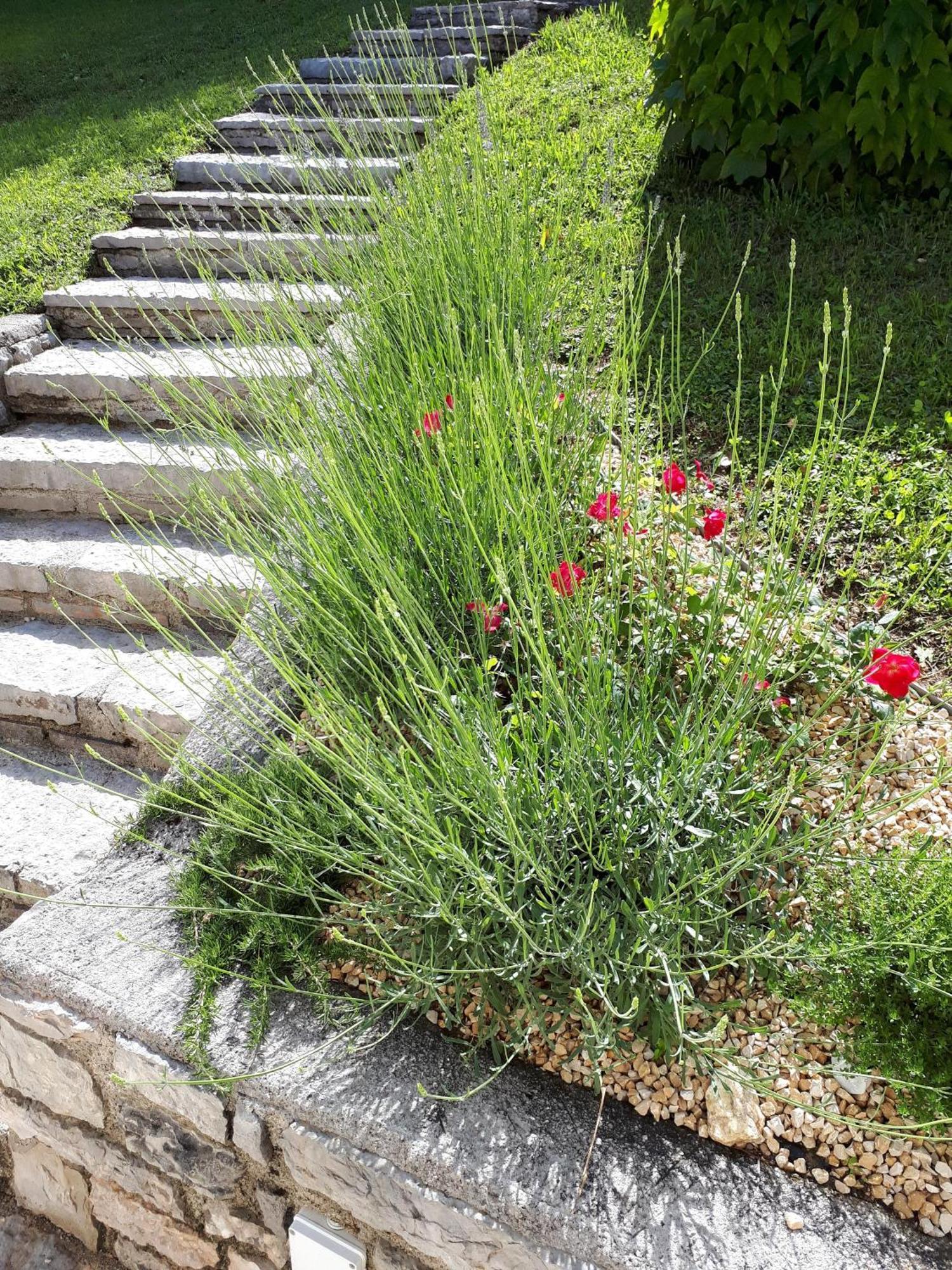 Ferienhaus In Tremosine Sul Garda Pieve  Exteriör bild